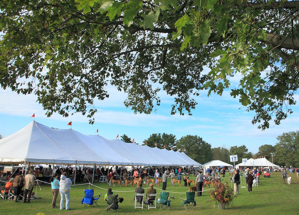 Editorial: August 27, 2021